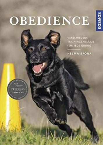 Obedience: Verschiedene Trainingsansätze für jede Übung