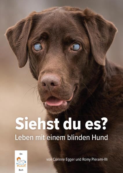 Siehst du es?: Leben mit einem blinden Hund, Corinne Egger, Romy Illi