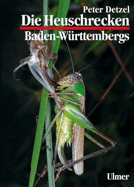 Heuschrecken Baden-Württembergs, Peter Detzel