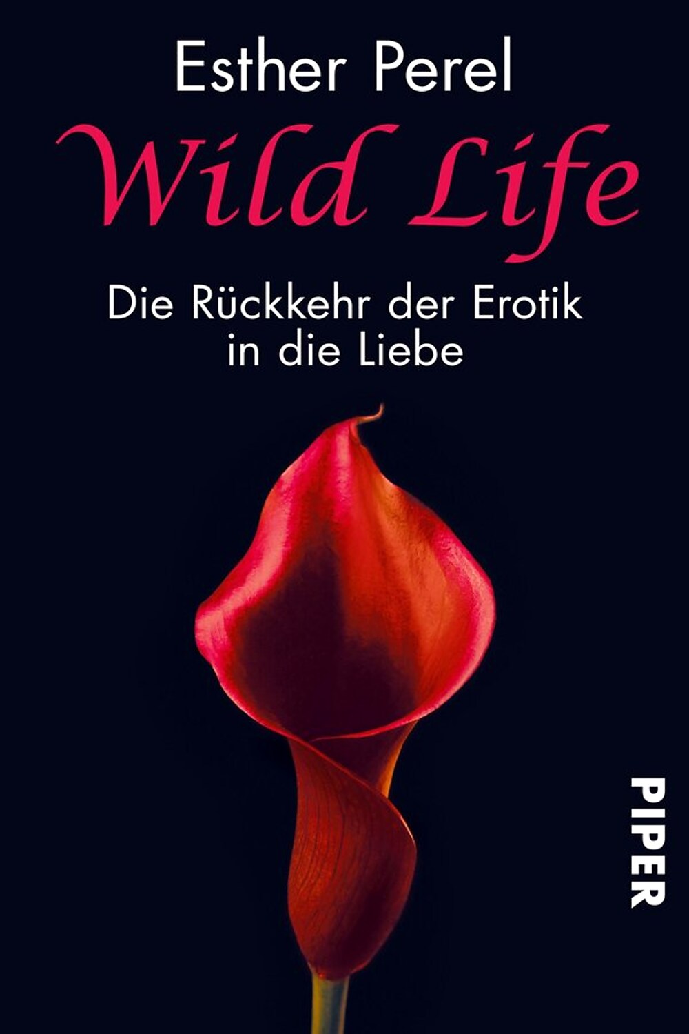 2D Book Cover (Variante B)