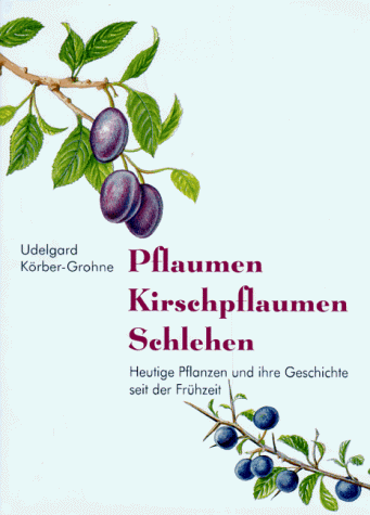 Pflaumen, Kirschpflaumen, Schlehen. Heutige Pflanzen und ihre Geschichte seit der Frühzeit, Udelgard Körber-Grohne