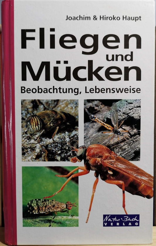 Fliegen und Mücken, Joachim Haupt, Hiroko Haupt