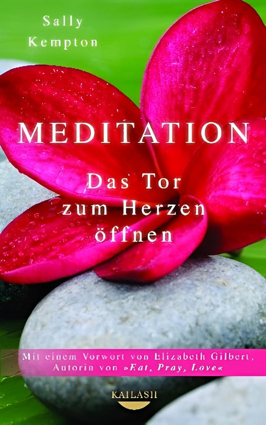 Meditation: Das Tor zum Herzen öffnen, Sally Kempton