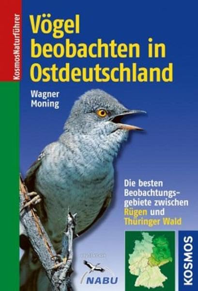Vögel beobachten in Ostdeutschland: Die besten Beobachtungsgebiete zwischen Rügen und Thüringer Wald