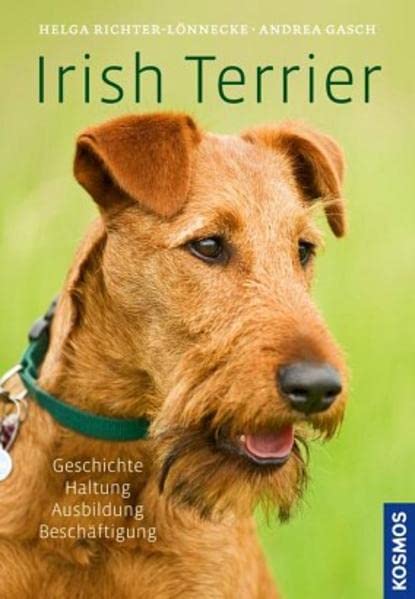 Irish Terrier: Geschichte, Haltung, Ausbildung, Beschäftigung