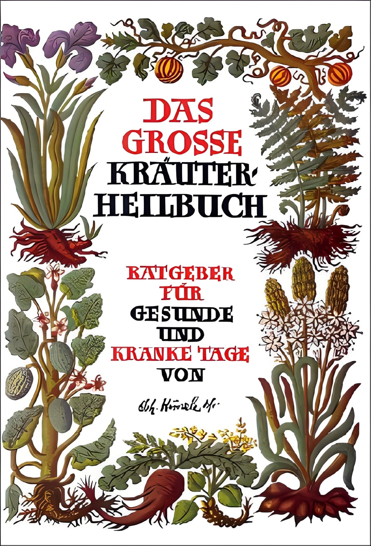 Das große Kräuterheilbuch: Ratgeber für gesunde und kranke Tage, Johann Künzle