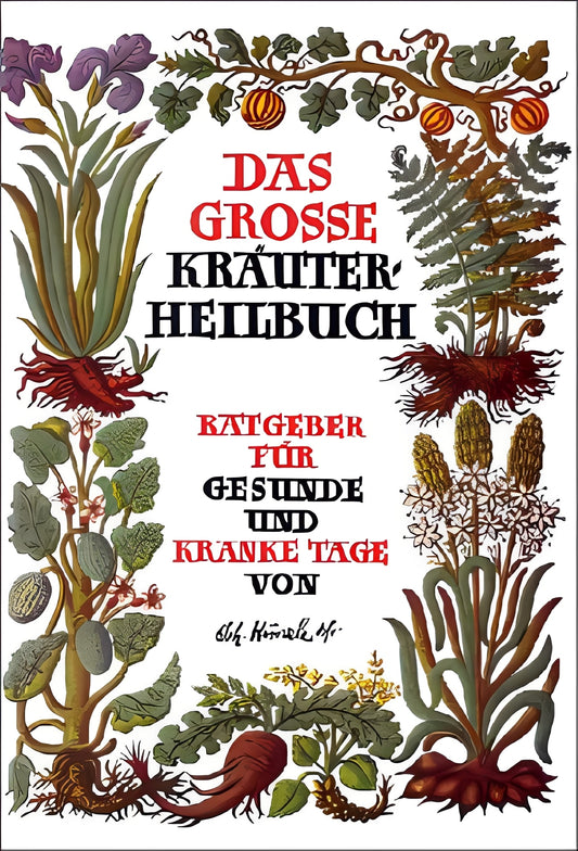 Das große Kräuterheilbuch: Ratgeber für gesunde und kranke Tage, Johann Künzle