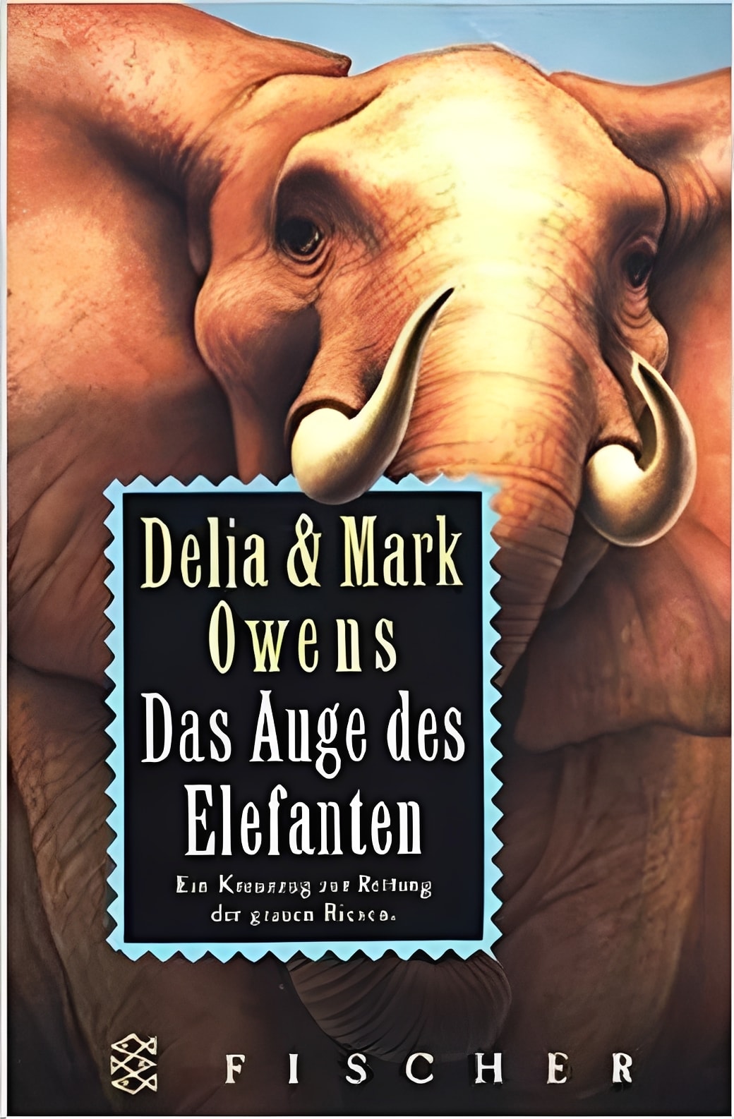 Das Auge des Elefanten. Abenteuer in der afrikanischen Wildnis. Ein Kreuzzug zur Rettung der grauen Riesen