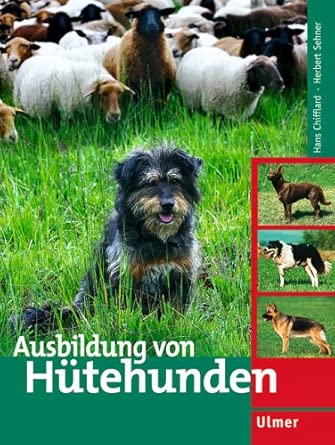 Ausbildung von Hütehunden cover image
