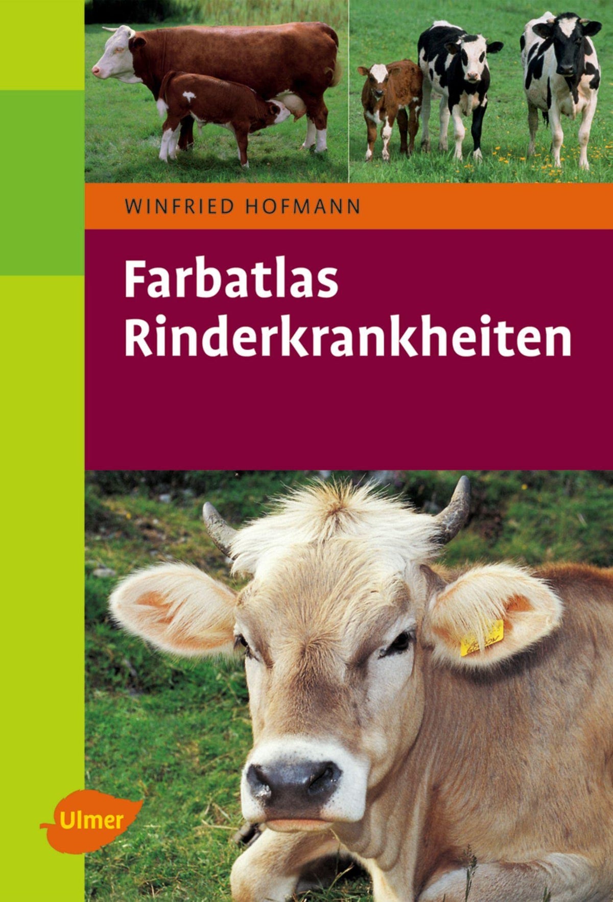 Farbatlas Rinderkrankheiten, Winfried Hofmann