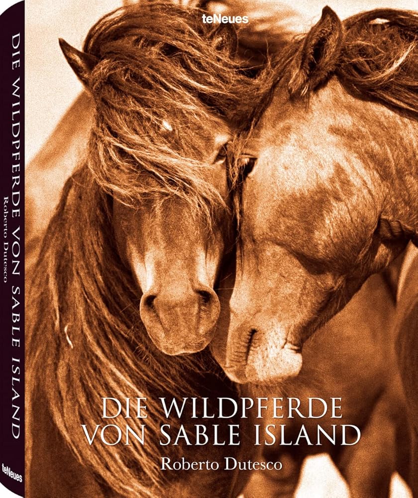 Die Wildpferde von Sable Island: Chines.-Dtsch.-Span.-Engl.-Französ. cover image