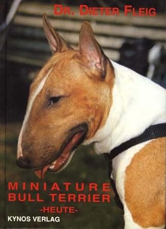 Miniature Bull Terrier - heute cover image