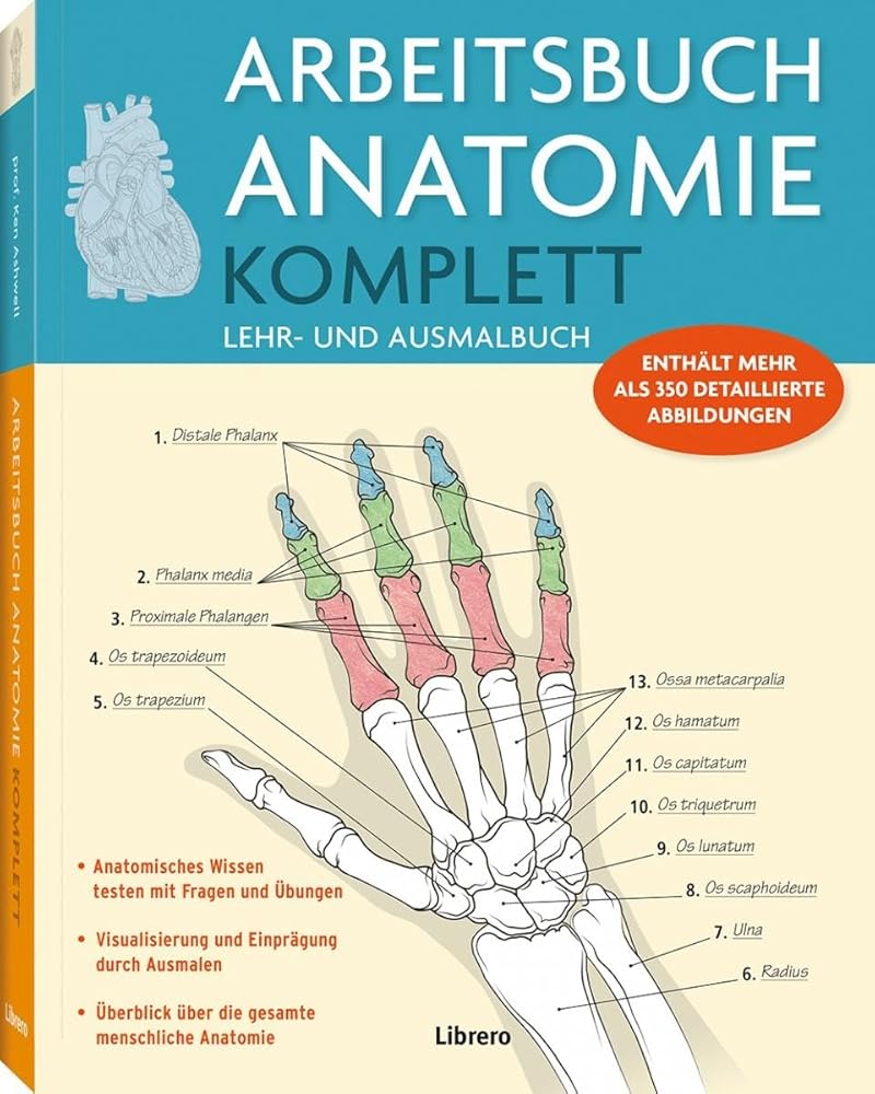 Arbeitsbuch Anatomie Komplett: Lehr- und Ausmalbuch - enthält mehr als 350 detaillierte Abbildungen cover image