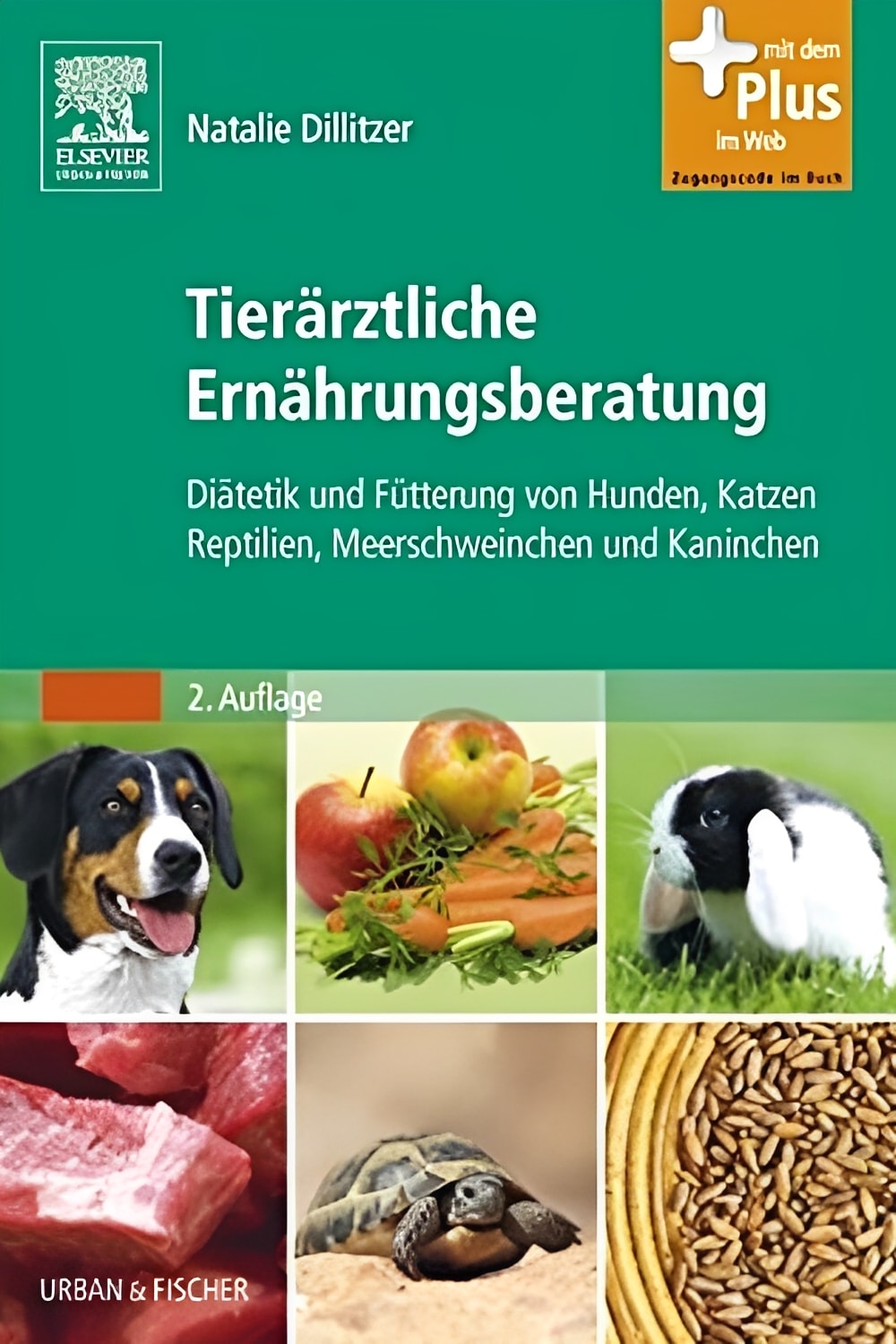 2D Book Cover (Variante B)