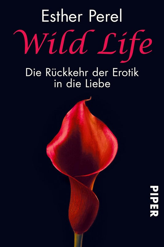 2D Book Cover (Variante B)