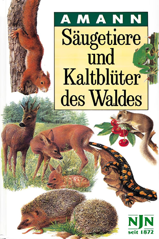 2D Book Cover (Variante B)
