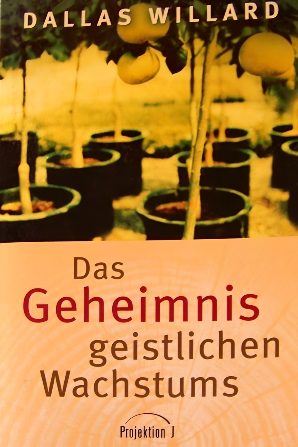 2D Book Cover (Variante B)