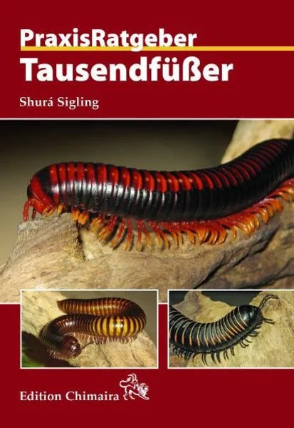 Tausendfüßer, Shurá Sigling