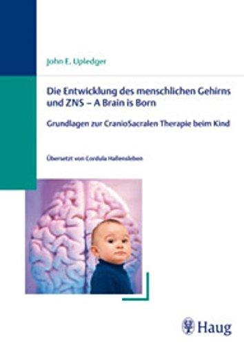 Die Entwicklung des menschlichen Gehirns und ZNS - A Brain is Born: Grundlagen zur CranioSacralen Therapie beim Kind [Gebundene Ausgabe] John E. Upledger