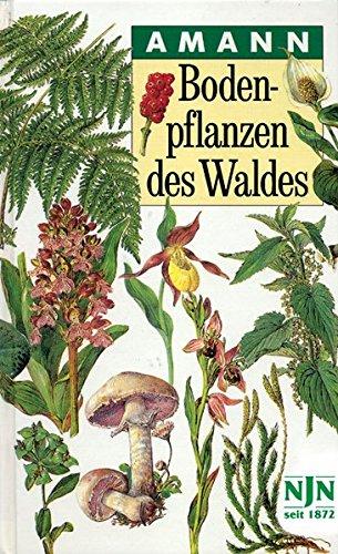 Bodenpflanzen des Waldes: Taschenbildbuch der beachtenswertesten Pilze, Flechten, Moose, Farnpflanzen, Gr�ser und Kr�uter des mitteleurop�ischen Waldes, mit Textteil �ber deren Bau und Leben; Amann, Gottfried; Summerer, Claudia