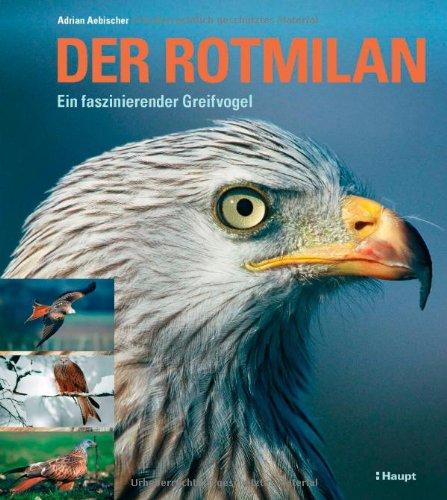 Der Rotmilan: Ein faszinierender Greifvogel Adrian Aebischer