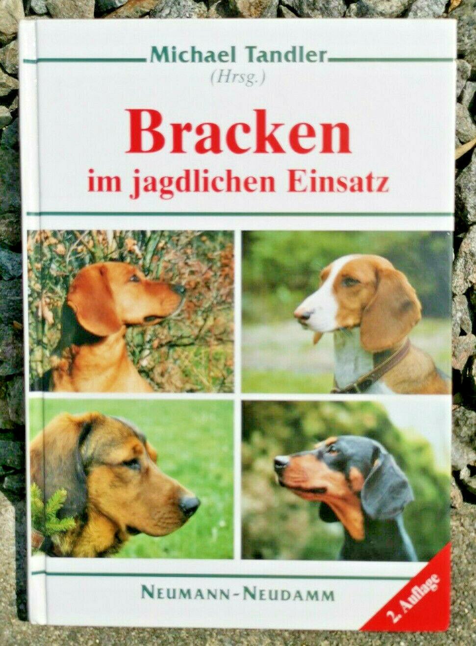 Bracken im jagdlichen Einsatz [hardcover] Tandler, Michael,Elsbergen